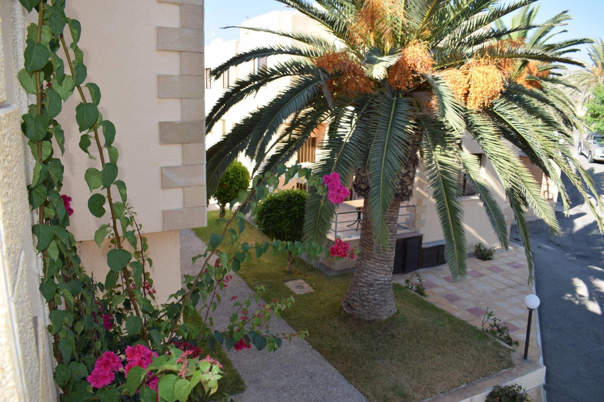 Dimma Seaside Houses Paphos Ngoại thất bức ảnh