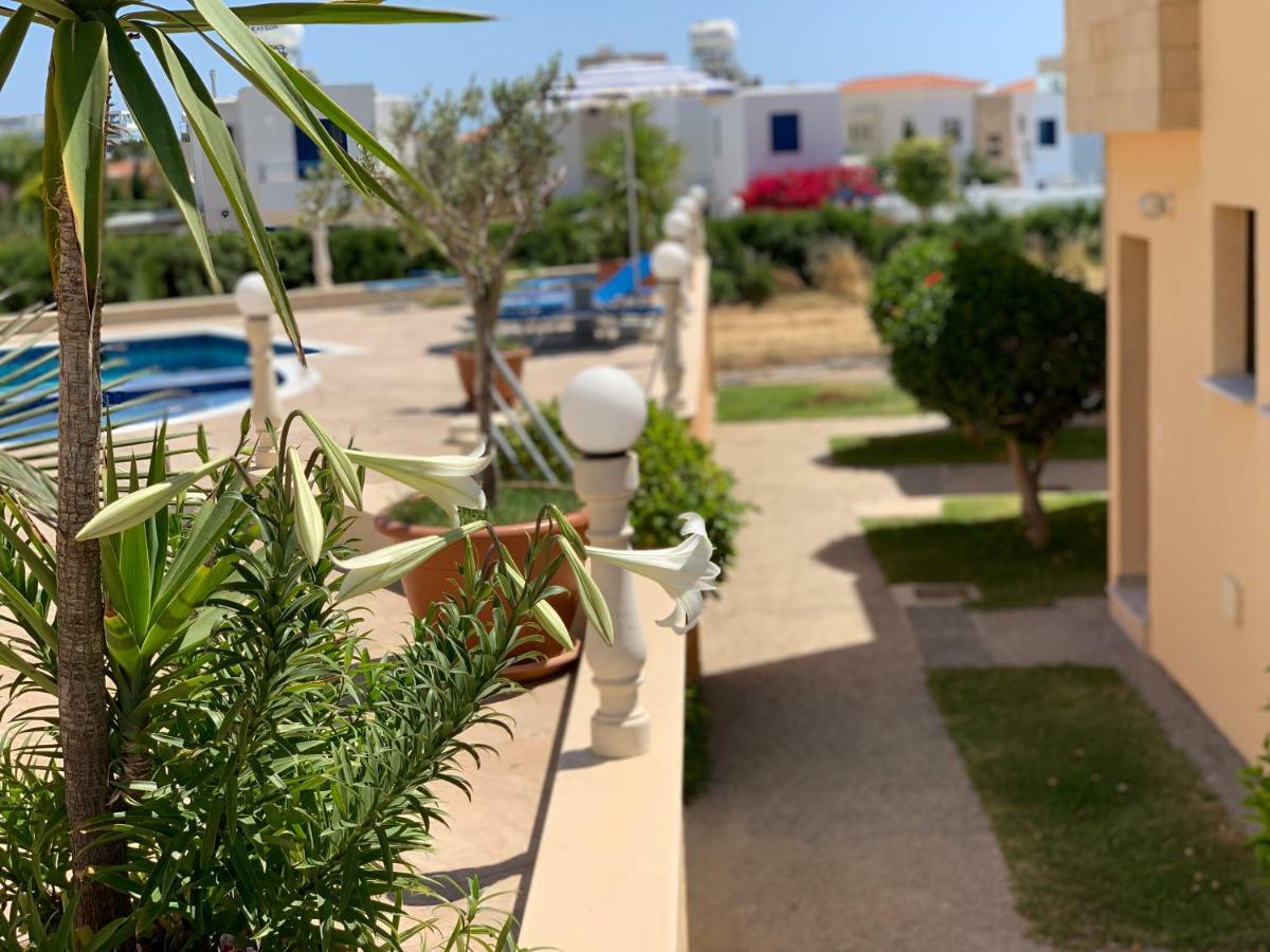Dimma Seaside Houses Paphos Ngoại thất bức ảnh